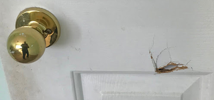interior door hole repair Buena Park